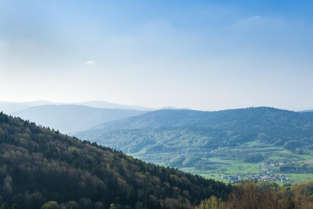 Panorama-Landgasthof Ranzinger Schöfweg Eksteriør billede